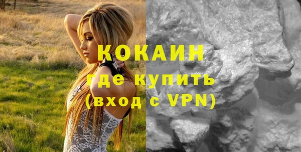 ПСИЛОЦИБИНОВЫЕ ГРИБЫ Абаза