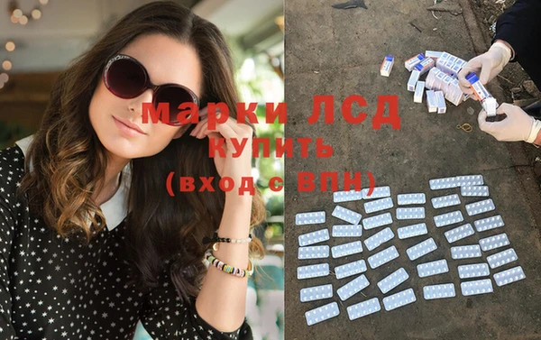 ПСИЛОЦИБИНОВЫЕ ГРИБЫ Абаза